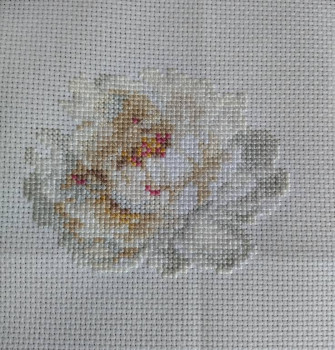 Вышивка в процессе - 1692444010098.jpg