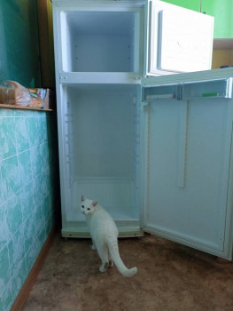 Кого из животных вы содержите? Фото приветствуется. - IMG20230821145110.jpg