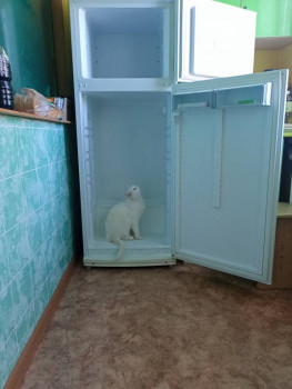 Кого из животных вы содержите? Фото приветствуется. - IMG_20230821_153845.jpg