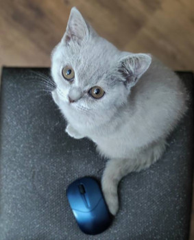 Вот такая была малышкой