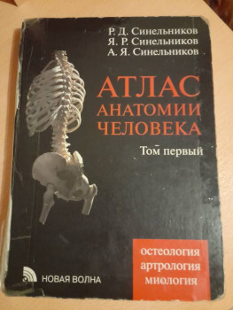 Чем сегодня занимались ваши дети? - 20230829_195922.jpg