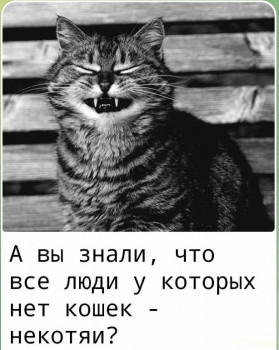 Из ВКонтактика с приветиком  - фотка.jpg