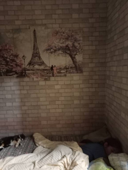 Чем сегодня занимались-2 - 16936806404423266663084118044694.jpg