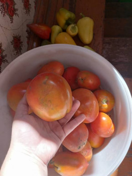 Рецептик дня -4 - IMG20230903125238.jpg