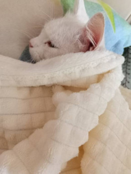 Кого из животных вы содержите? Фото приветствуется. - IMG20230909150941.jpg