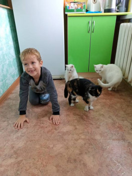 Кого из животных вы содержите? Фото приветствуется. - IMG20230915130734.jpg