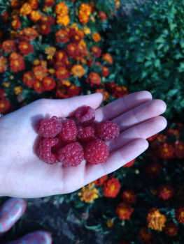 Чем сегодня занимались-2 - 1694875497471.jpg