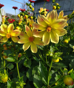 Чем сегодня занимались-2 - 1694875765698.jpg