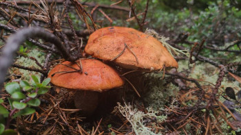 Чем сегодня занимались-2 - 20230916_114131.jpg