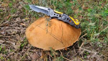 Чем сегодня занимались-2 - 20230917_123051.jpg