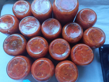 Заготовки на зиму - IMG20230919114119.jpg