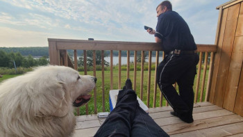 Мой напарник и прикормленная дворняжка :)