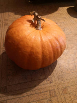 Рецептик дня -4 - IMG_20230929_173801.jpg