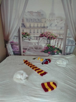 Чем сегодня занимались-2 - IMG_20231002_114921.jpg