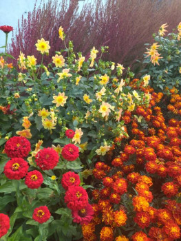 Чем сегодня занимались-2 - 1696686790347.jpg