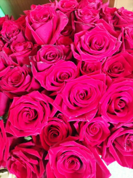 Машеньку Pleno с юбилеем  - IMG_20230903_095632.jpg