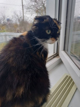 Кого из животных вы содержите? Фото приветствуется. - IMG20231104140959.jpg