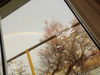 Поговорим о погоде - IMG20231105160505.jpg