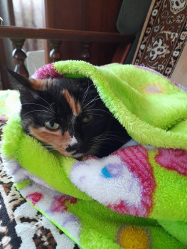 Чем сегодня занимались-2 - 20231220_155647.jpg