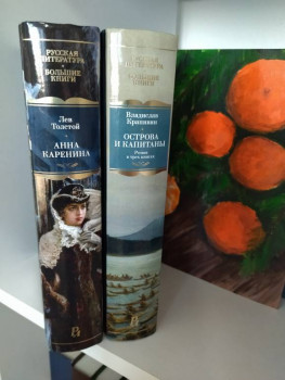 Книжный шкаф - 1704534512798.jpg