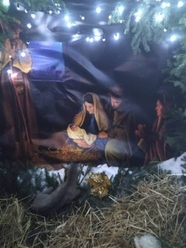 Чем сегодня занимались-2 - 1704547825944.jpg