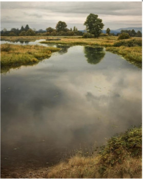 Картины - Screenshot_20240130-190350_Samsung Internet.jpg