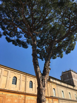 Поговорим о погоде - IMG_8181.JPG