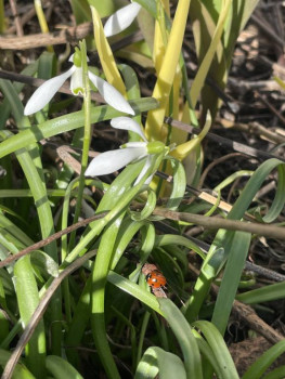 Поговорим о погоде - D49ABCA2-7170-4B31-8458-AD6953764E69.jpeg