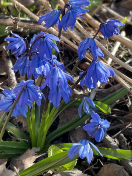 Поговорим о погоде - B5718679-4AD8-483F-8242-75F4CA16B561.jpeg