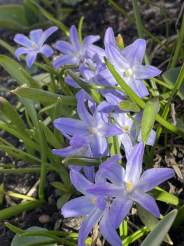 Поговорим о погоде - 30DB9219-29FE-4E2B-8FE5-F85D701DA1F1.jpeg