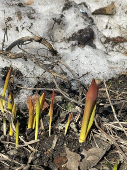 Поговорим о погоде - C8B9FE07-A0C7-4430-90E1-7E0C49AE1918.jpeg