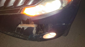 Охота и употребление диких животных в пищу. - 20240409_221027.jpg