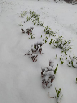 Поговорим о погоде - 1714794630710.jpg