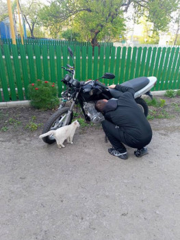 Клуб фелинологов-любителей  - IMG20240421183008.jpg