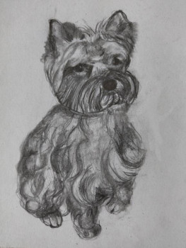 Творчество наших детей :  - 1718264656898.jpg