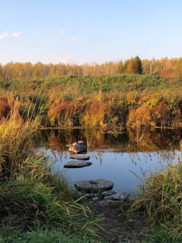 Творчество наших детей :  - 1718636058072.jpg
