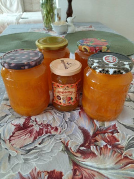 Чем сегодня занимались-2 - 1719300214298.jpg