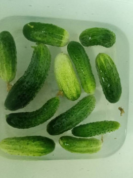 Чем сегодня занимались-2 - 17199878160261273056425191796527.jpg