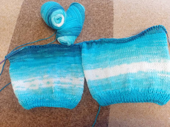 Фотоотчеты и планы Рукодельного марафона - IMG20240713154045.jpg