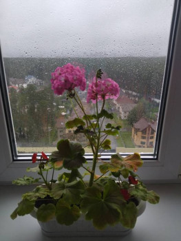 Чем сегодня занимались-2 - 1722080683335.jpg