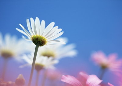 Аватарки. Наши интернет-лица - view.jpg