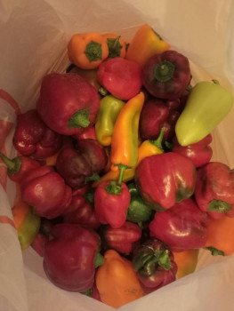 Чем сегодня занимались-2 - IMG20240920180915.jpg