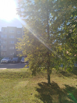 Поговорим о погоде - IMG_20240921_142952.jpg