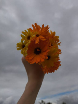 Декоративные садовые растения. - 1726933249320.jpg