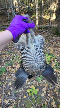 Чем сегодня занимались-2 - Snapchat-659826824.jpg