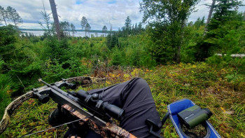 Жду оленей но олени все в городе =)