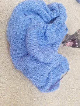 Фотоотчеты и планы Рукодельного марафона - IMG20241009100427.jpg