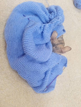 Фотоотчеты и планы Рукодельного марафона - IMG20241009100437.jpg