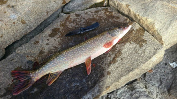 Чем сегодня занимались-2 - 20241021_143933.jpg