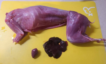 Чем сегодня занимались-2 - 20241024_205906.jpg